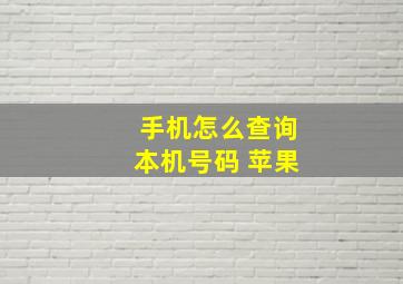 手机怎么查询本机号码 苹果